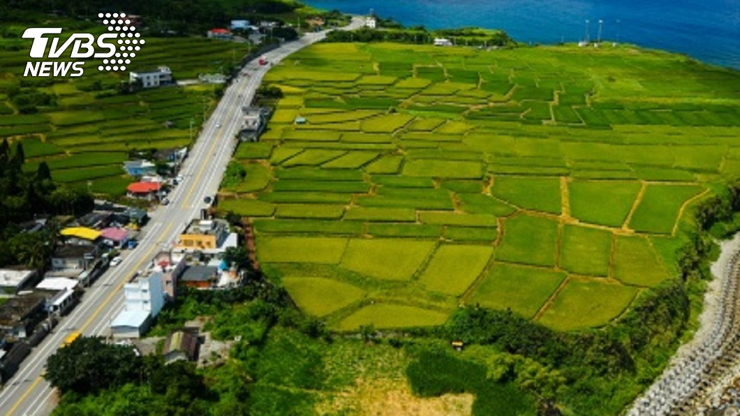 驚嘆花蓮之美 澳洲代表流利中文讚台灣有3好
