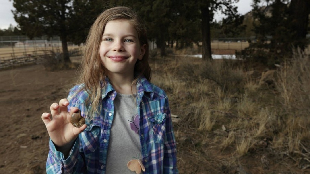 美國一名小女童娜歐蜜，日前挖到一顆距今約6500萬年前的菊石化石。(圖／翻攝自推特)