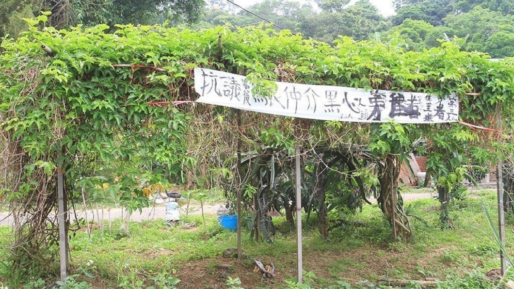 圖/翻攝畫面