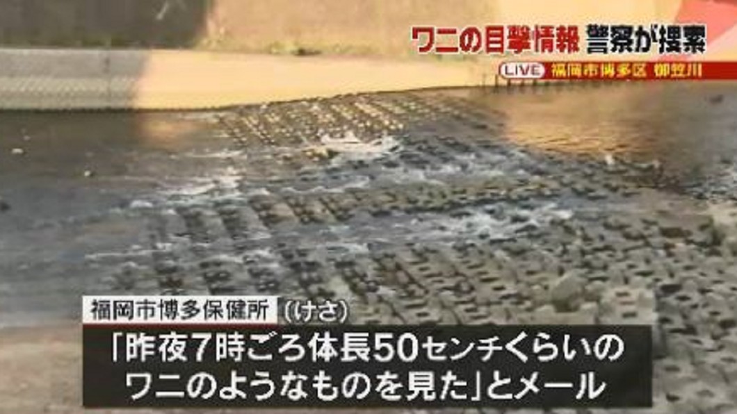 圖/翻攝自日テレNEWS24
