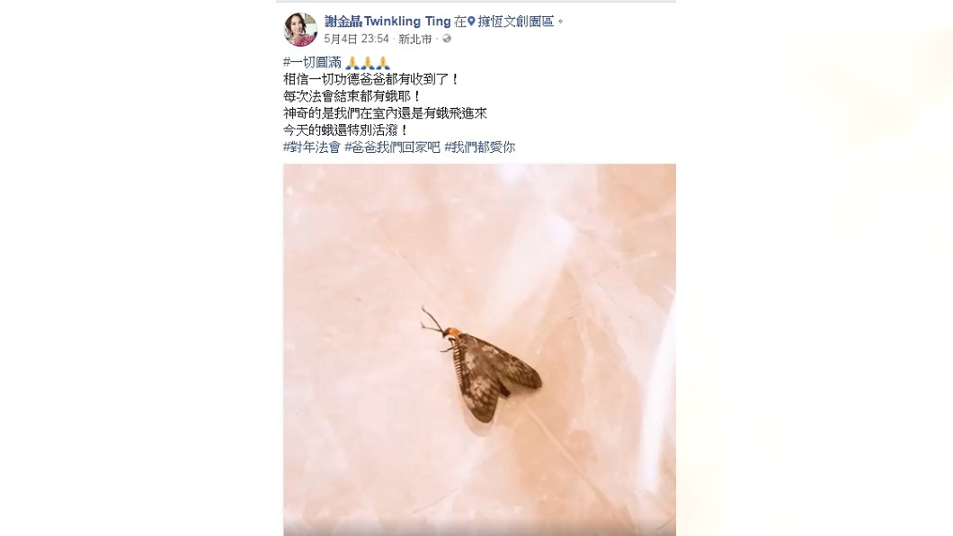 圖/謝金晶臉書
