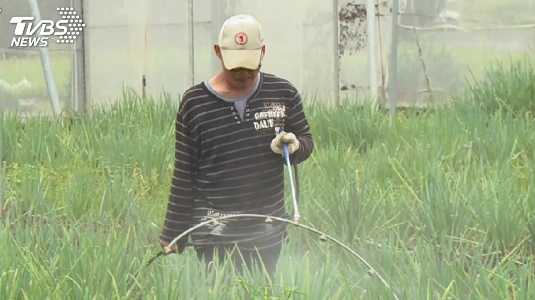 醫師指吃過多農藥致癌　食安辦：有點太over
