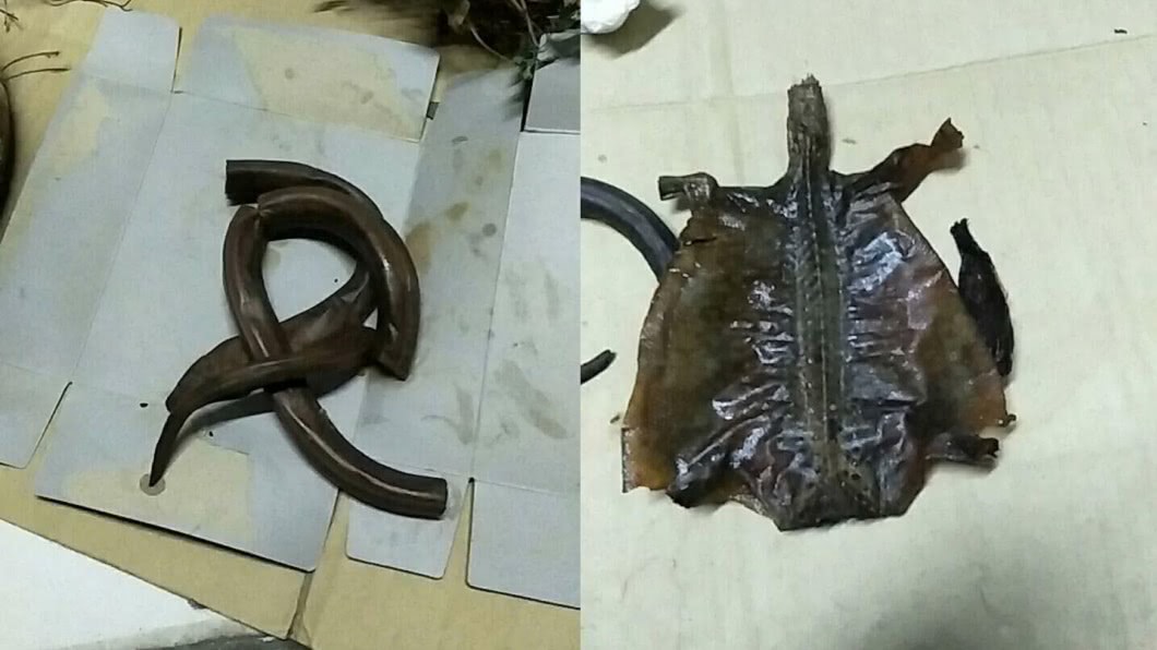 避免購買來路不明的藥酒,就算是向熟人購買,內容物也要檢查一遍,以免花冤枉錢傷身。圖/爆廢公社