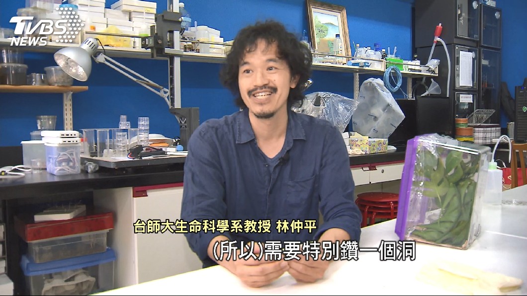 圖/TVBS