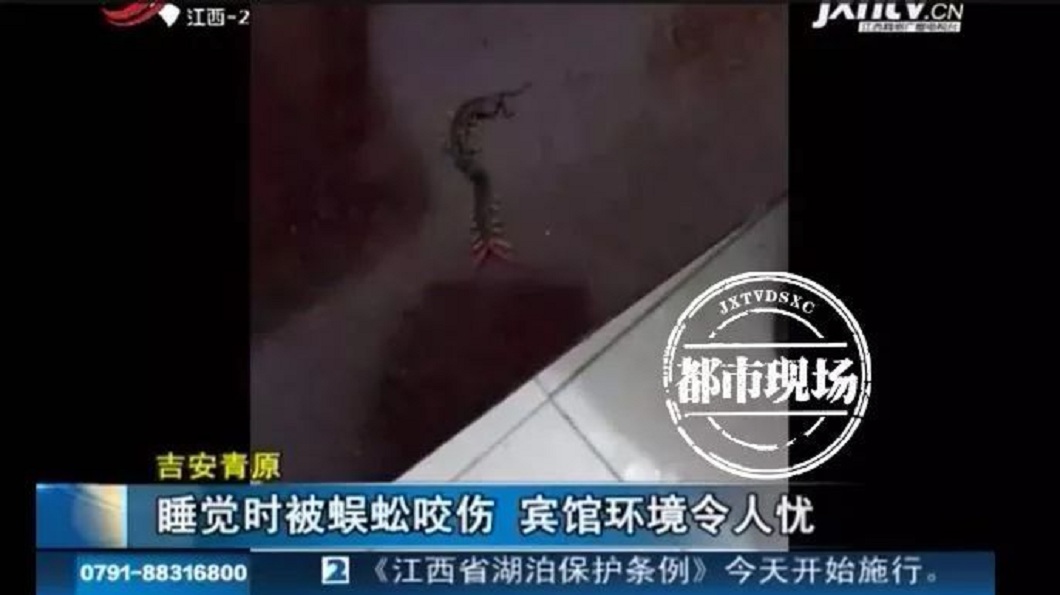 江西一名男子入住旅館時舌頭突然被咬了一下，醒來發現竟然是蜈蚣幹的。(圖／翻攝自搜狐新聞)