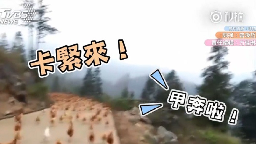 圖/翻攝自《秒拍》