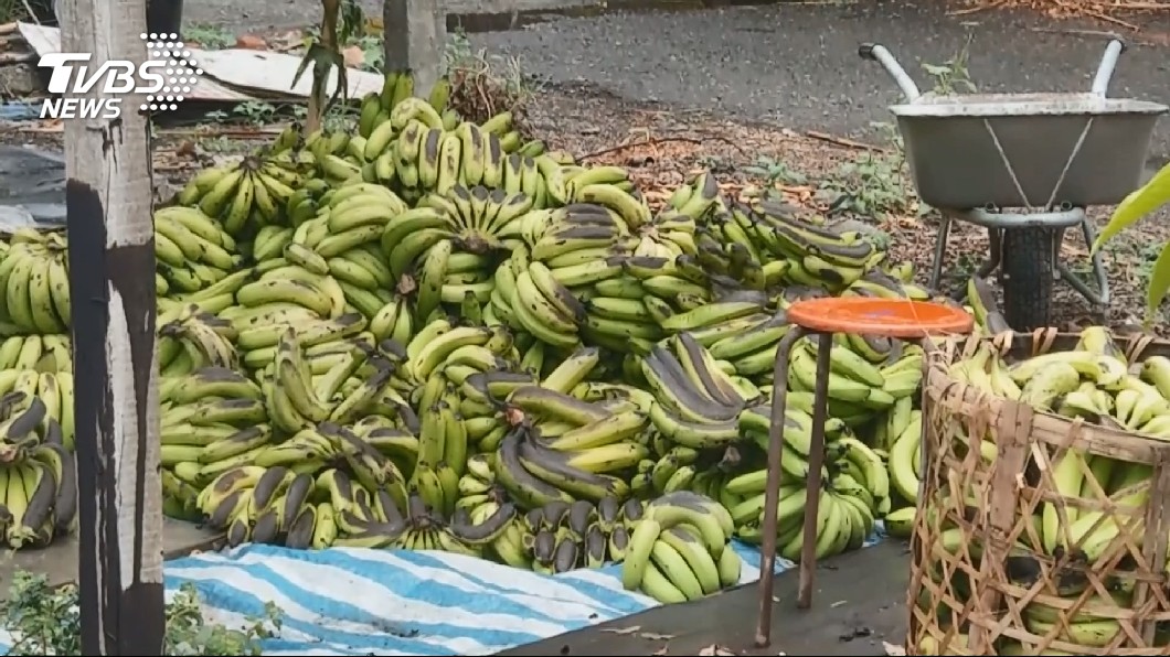 糧食浪費減1成　農委會8月端方案