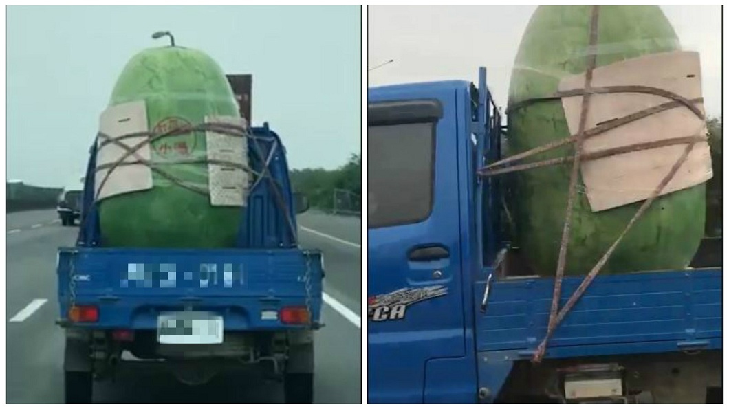 國道驚見一輛貨車載送超大西瓜，引發網友的熱議。(圖／翻攝自爆料公社)