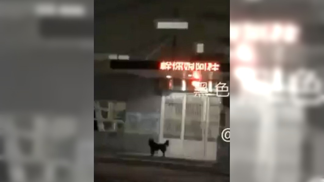 /piwigo/upload/2018/06/19/20180619224757-513713f1.jpg