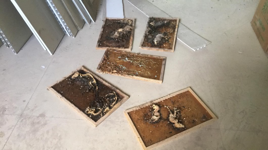 圖/爆廢公社