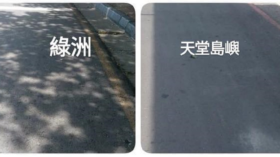 圖/爆廢公社