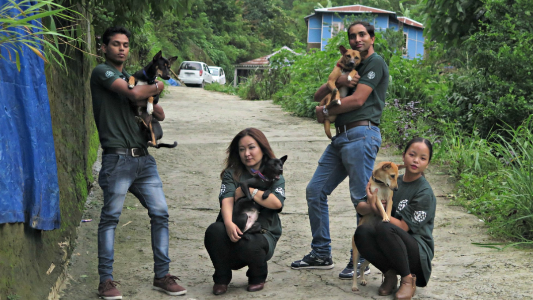 人道救援組織及時救出狗狗。圖/翻攝自Humane Society International-India臉書