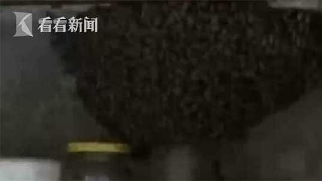 據該戶人家估計,當時有上萬隻蜜蜂闖入家中。(圖/翻攝自看看新聞)