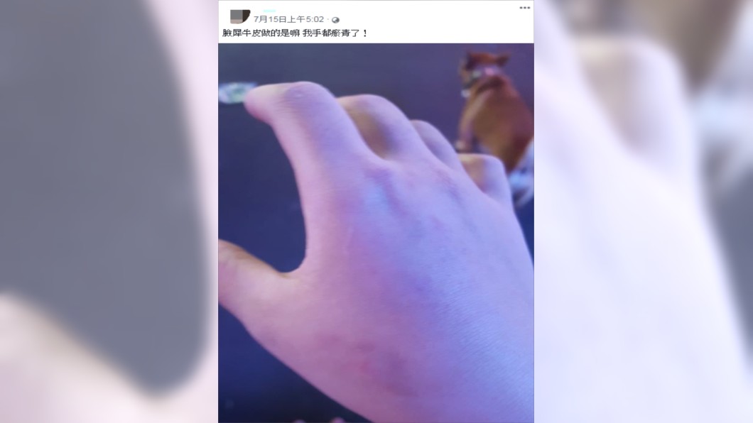 從黃姓乾姐提供閨密的臉書中,還能看到其中一名少女疑似打完小花後,在臉書上討拍。圖/翻攝臉書