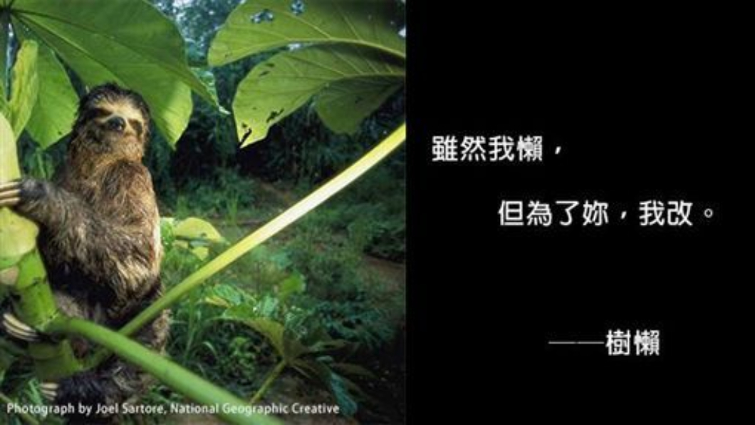 圖/翻攝自國家地理雜誌臉書