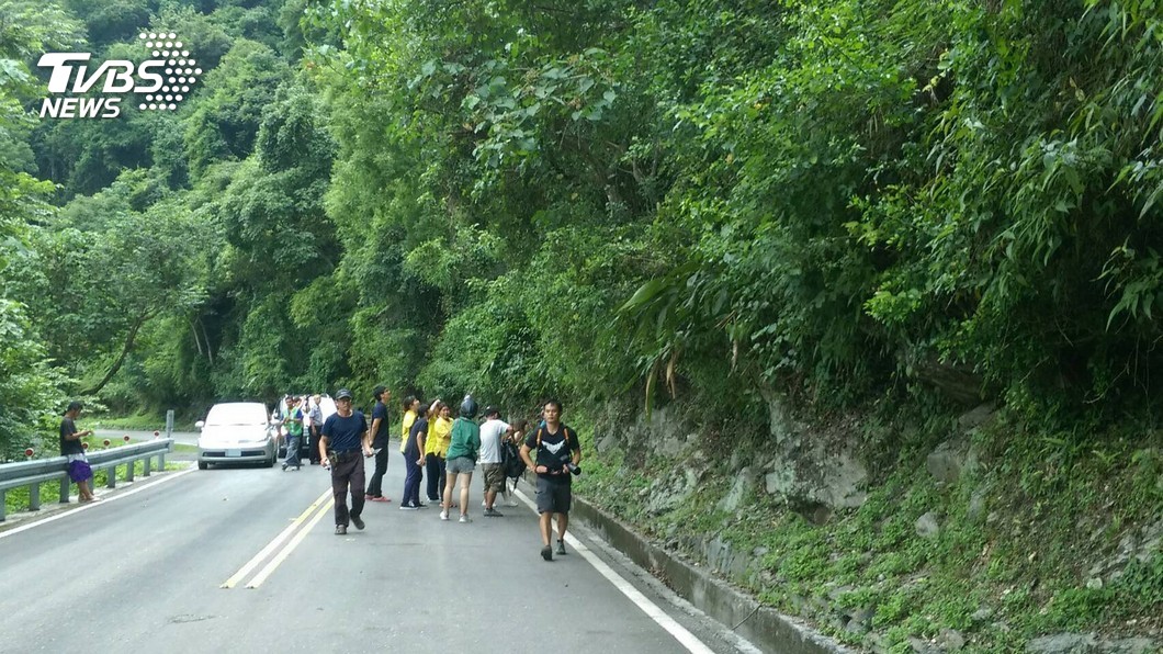 小熊跑上省道,引來民眾圍觀拍照。(圖/中央社)