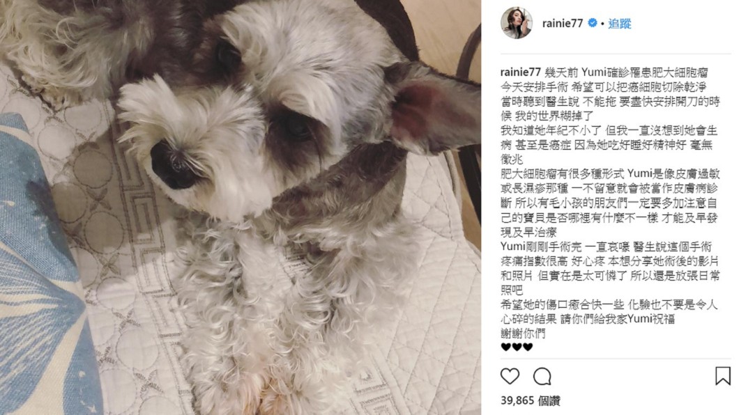 圖/翻攝自楊丞琳IG