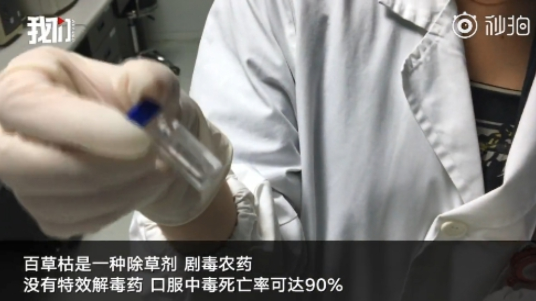 圖/翻攝自秒拍新京报我们视频