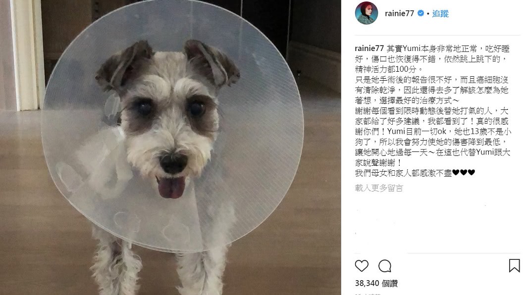 圖/翻攝自楊丞琳IG