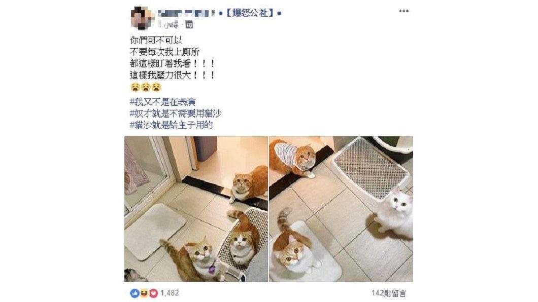 圖/翻攝自爆怨公社臉書