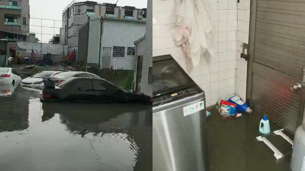 圖/翻攝自影片