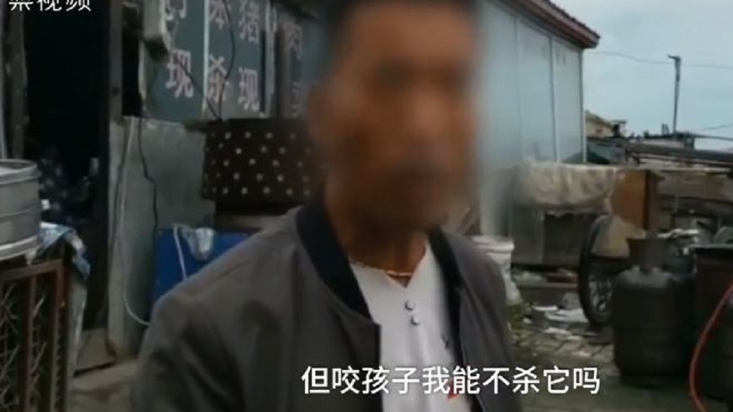 圖/翻攝《梨視頻》