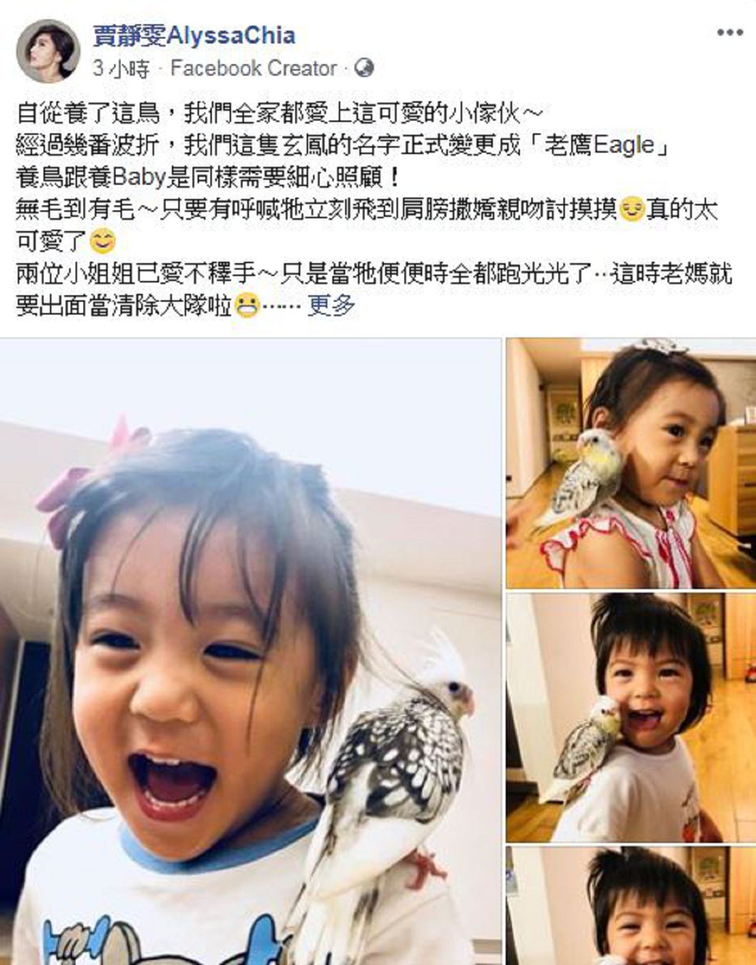 圖/翻攝自賈靜雯AlyssaChia臉書