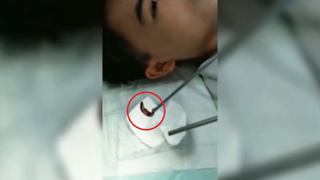 圖/翻攝自陸媒