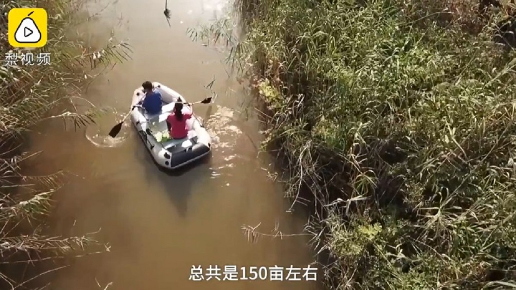 圖/翻攝自《梨視頻》