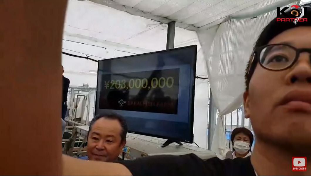 圖/翻攝自YT,Koi Partner頻道