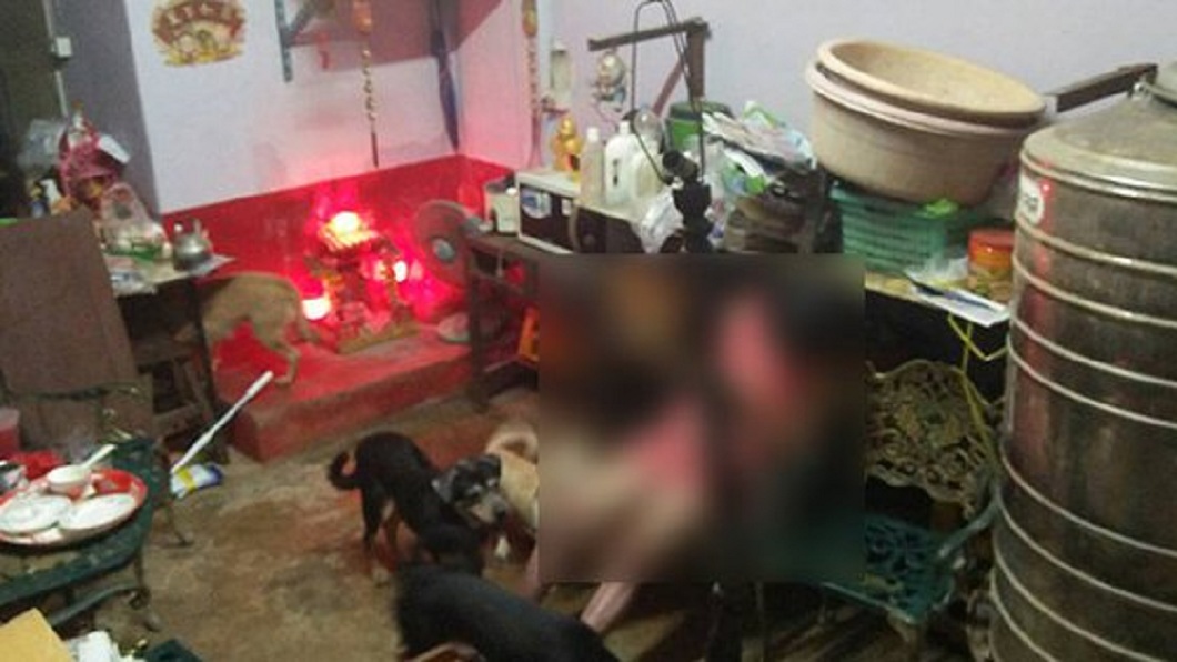泰國一名女子在住處身亡，她飼養的10隻狗狗卻忠心守護不願離去。(圖／翻攝自推特)