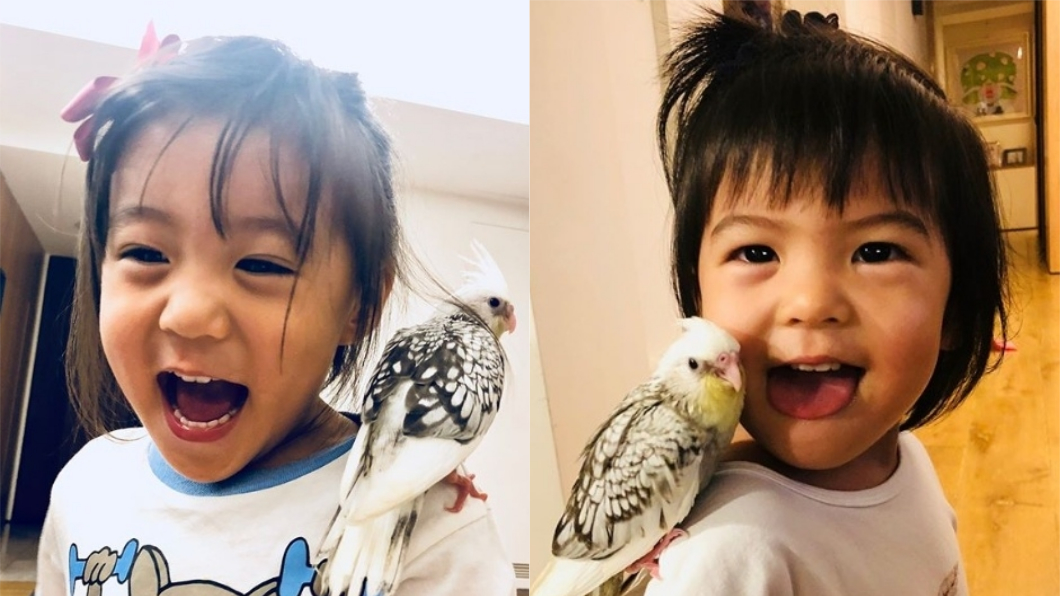 圖/翻攝自賈靜雯Instagram