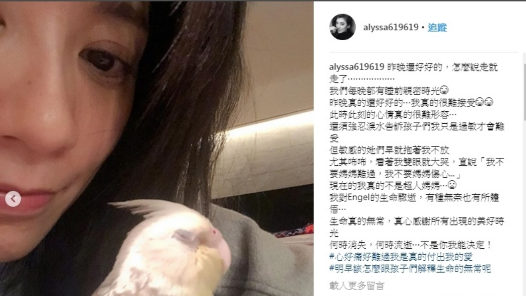 圖/翻攝自賈靜雯Instagram