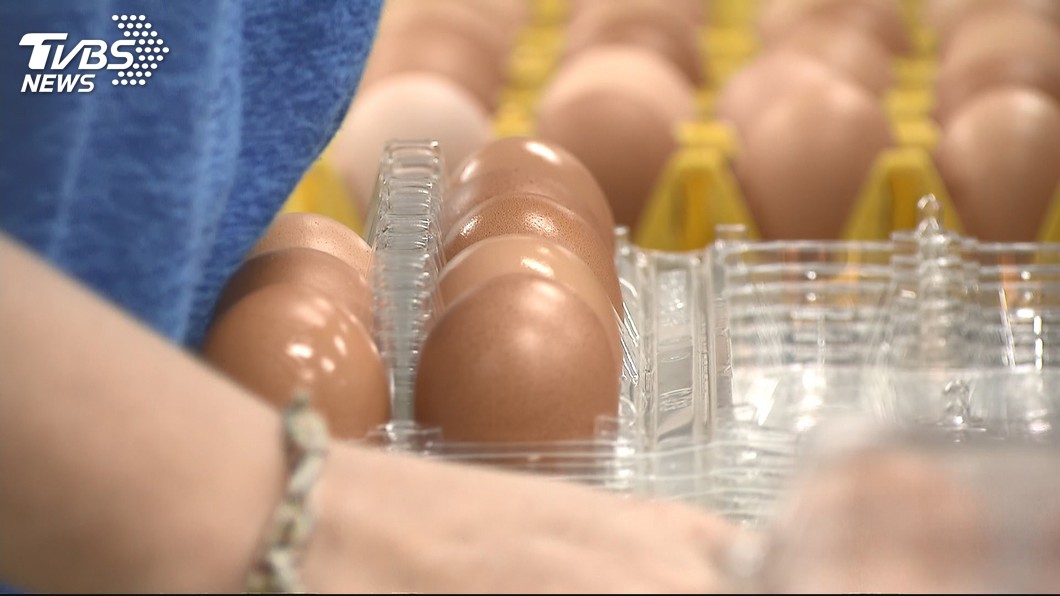 源頭種雞場「無雞可生」，造成雞蛋價格上漲。圖／TVBS