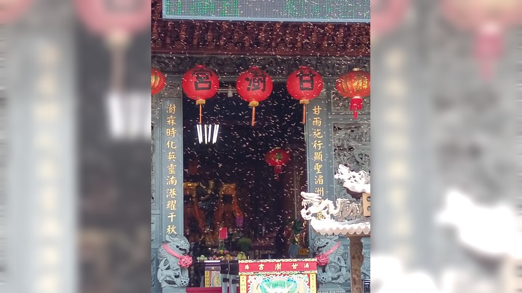 圖/甘露媽(永靖甘澍宮)授權