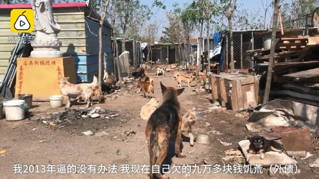 圖/翻攝自《梨視頻》