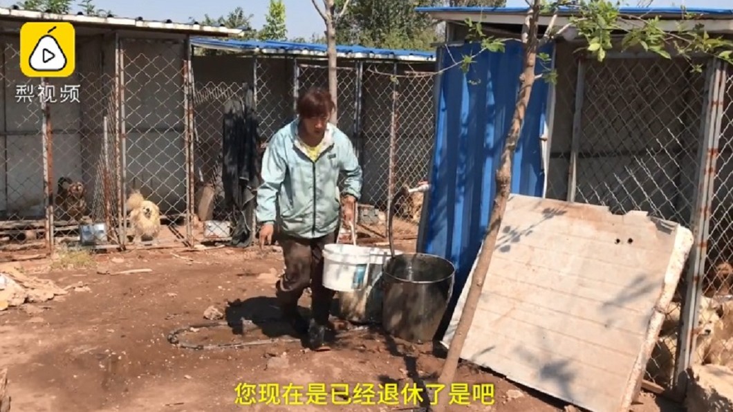 圖/翻攝自《梨視頻》