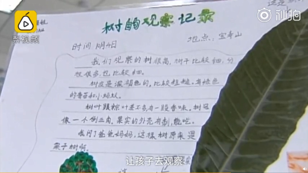 圖/翻攝自微博