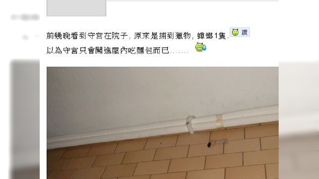 圖/翻攝自mobile01論壇