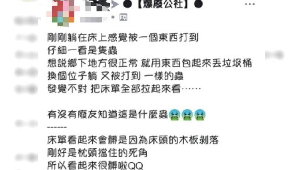 網友分享自家被單裡都是蛀蟲。圖/翻攝自爆料公社官網