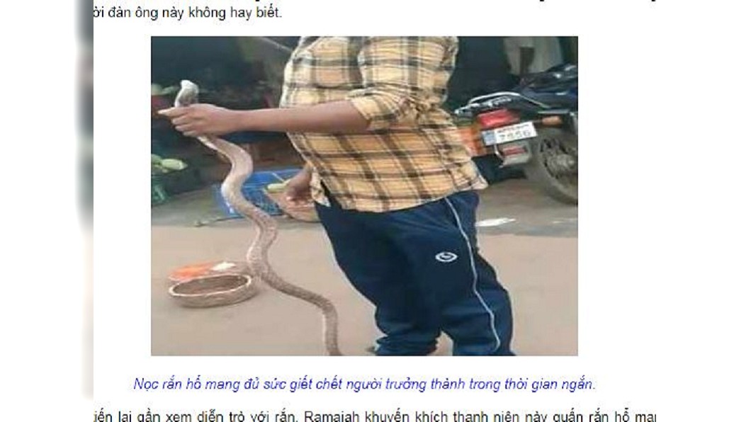 圖/翻攝自Tin tức 24h網站