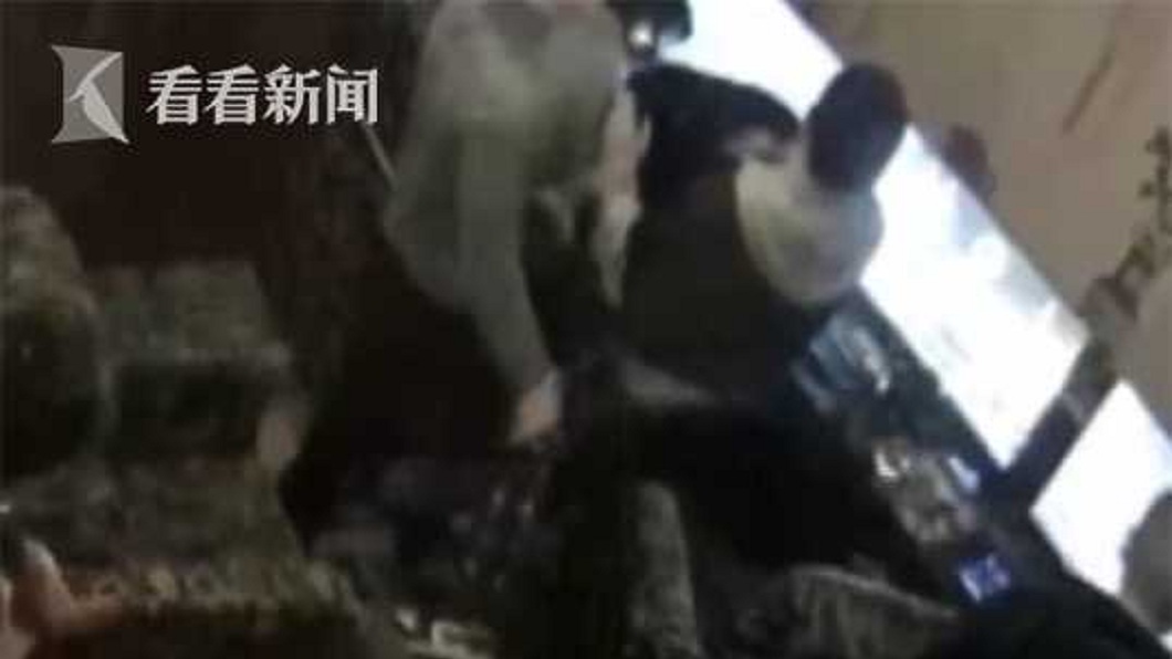 2名男子先是在網咖內大打出手。(圖/翻攝自看看新聞)