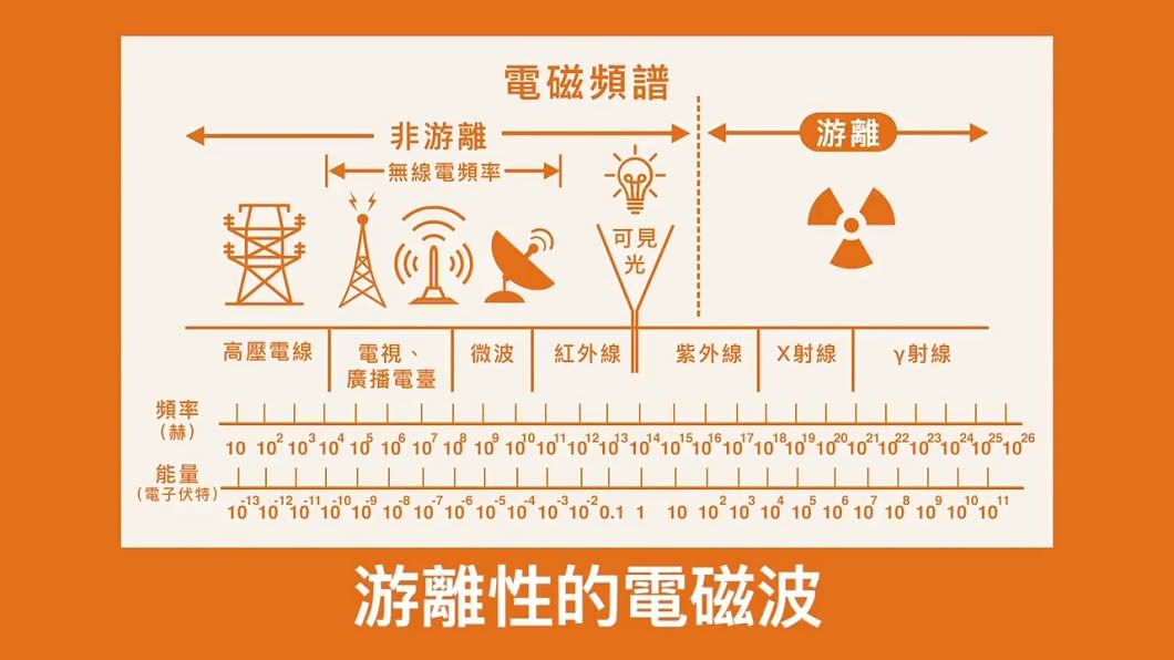 圖/翻攝自理科太太 Li Ke Tai Tai YouTube
