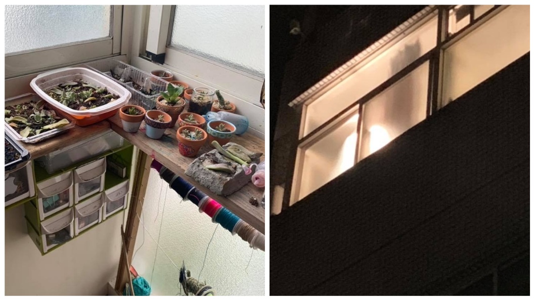 這名女子還用探照燈去養仙人掌。(圖/翻攝自花蓮同鄉會臉書)