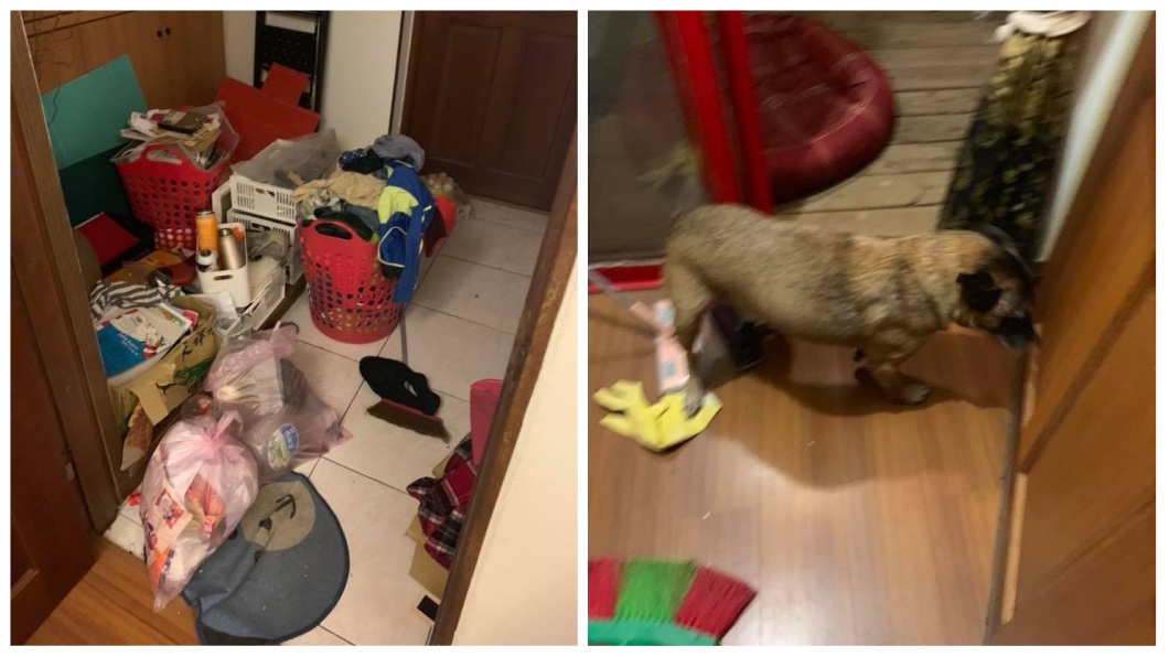這對母子把家裡弄得一團亂,甚至還養狗。(圖/翻攝自花蓮同鄉會臉書)