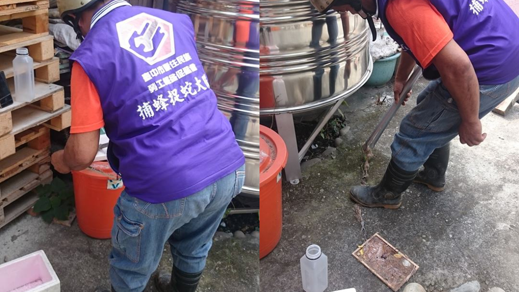 原PO通知捕蛇大隊來處理。圖/翻攝自爆廢公社