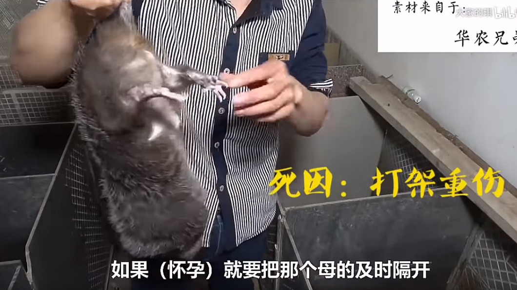 圖/翻攝YouTube