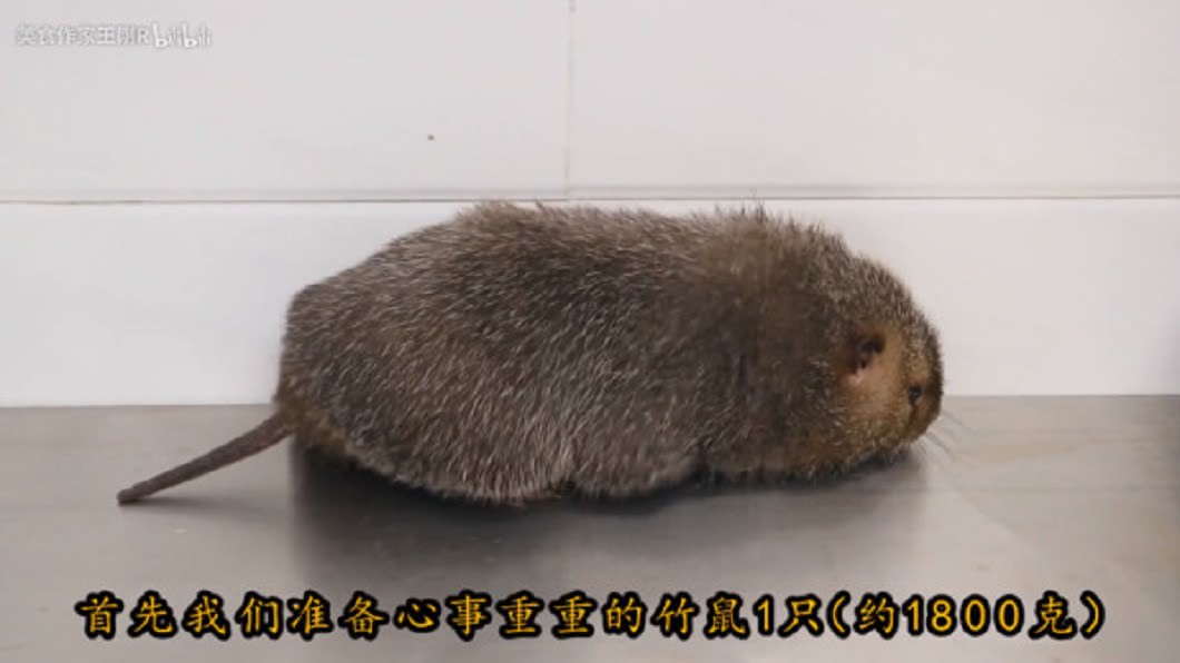 圖/翻攝YouTube