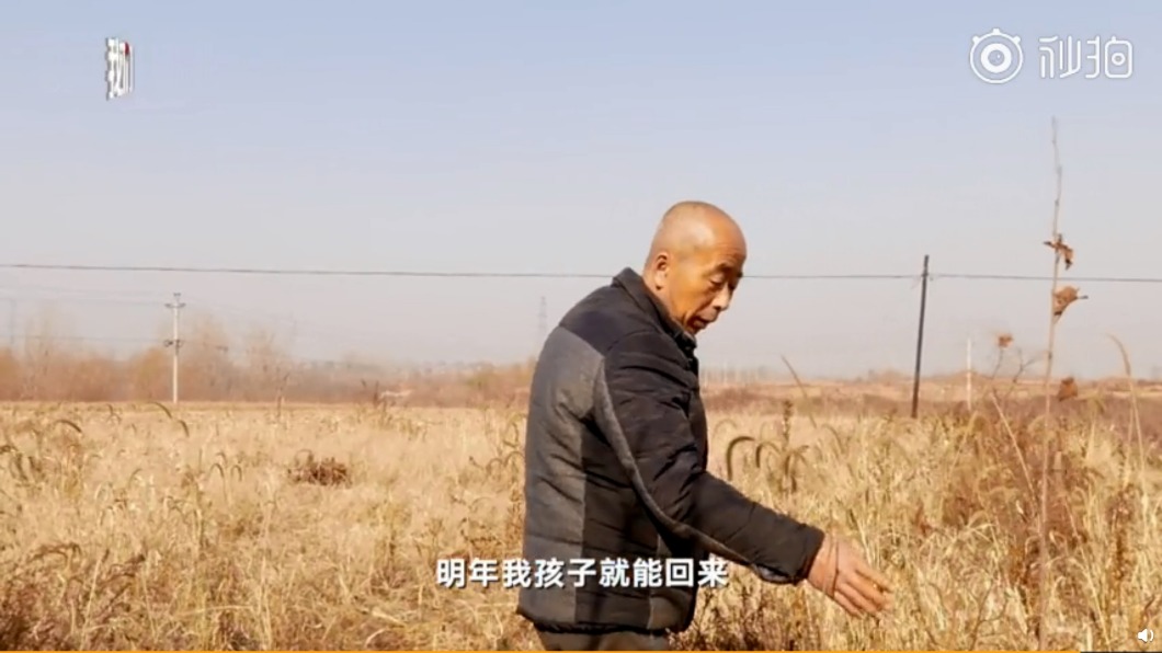 圖/翻攝自秒拍