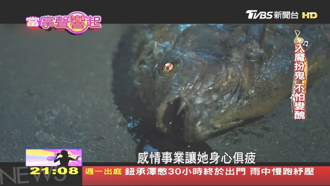 圖/TVBS